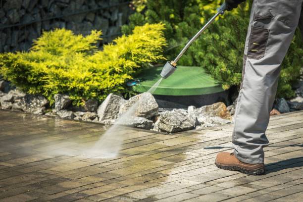 Pre-Holiday Cleaning in Roanoke, IL