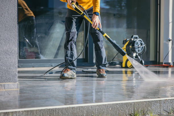 Best Oil Spill Cleanup  in Roanoke, IL