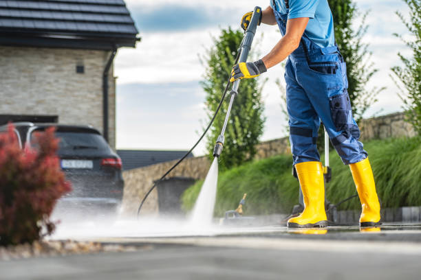 Best Driveway Pressure Washing  in Roanoke, IL